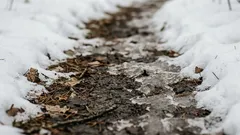 Zimą kładę to pod śnieg — a wiosną ziemia w moim ogrodzie jest idealna